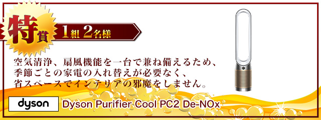 Dyson Purifier Cool PC2 De-NOx