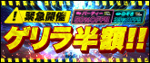 緊急開催！ゲリラ半額！  50%OFF