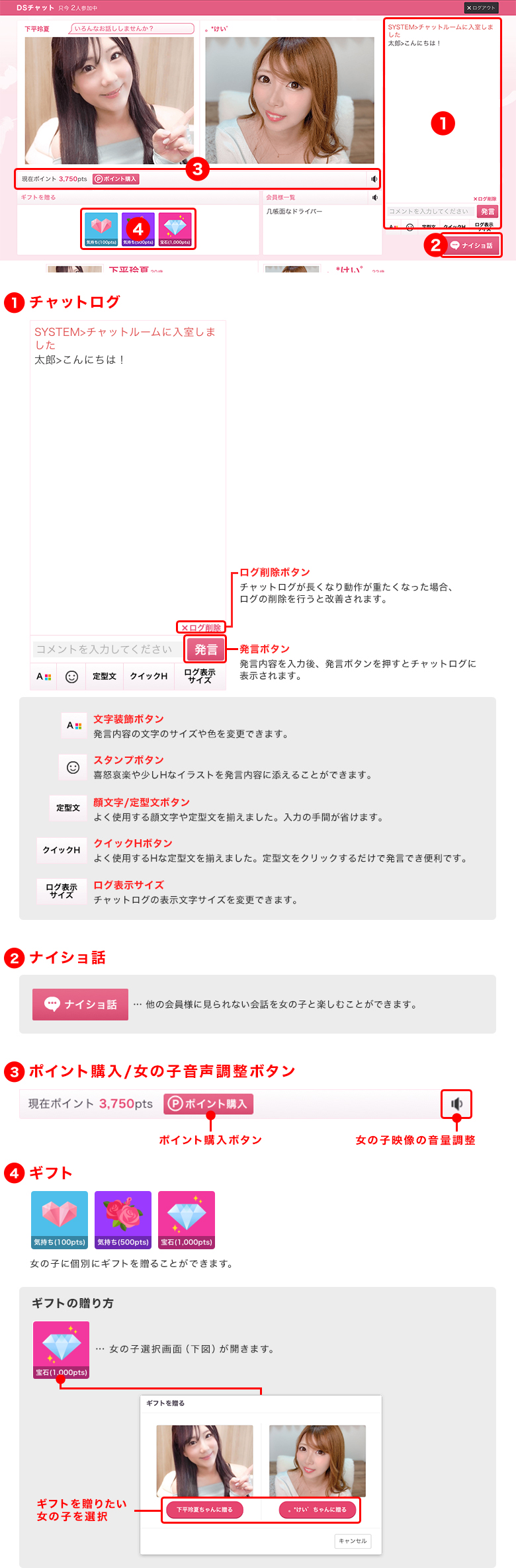 DSチャット画面の説明図